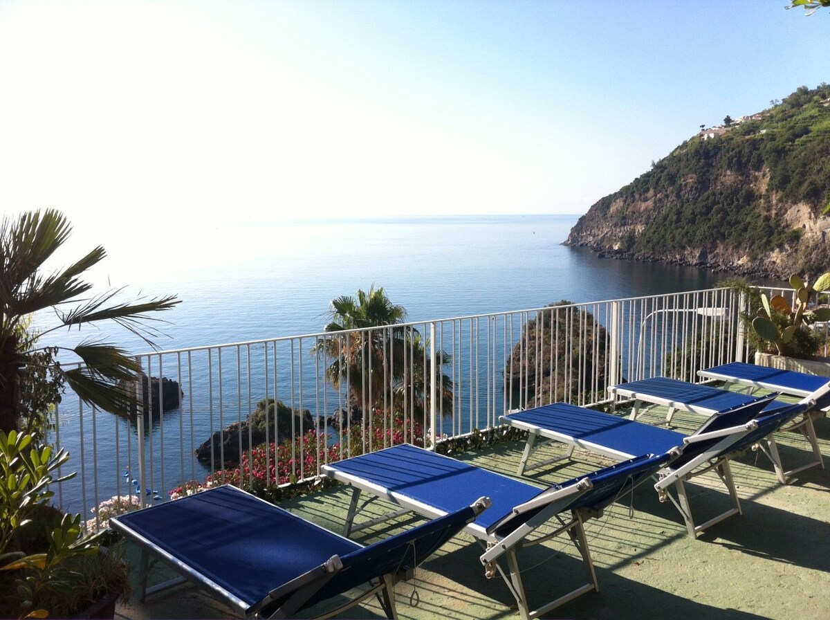 Ischia B&B ，靠近大海，带泳池