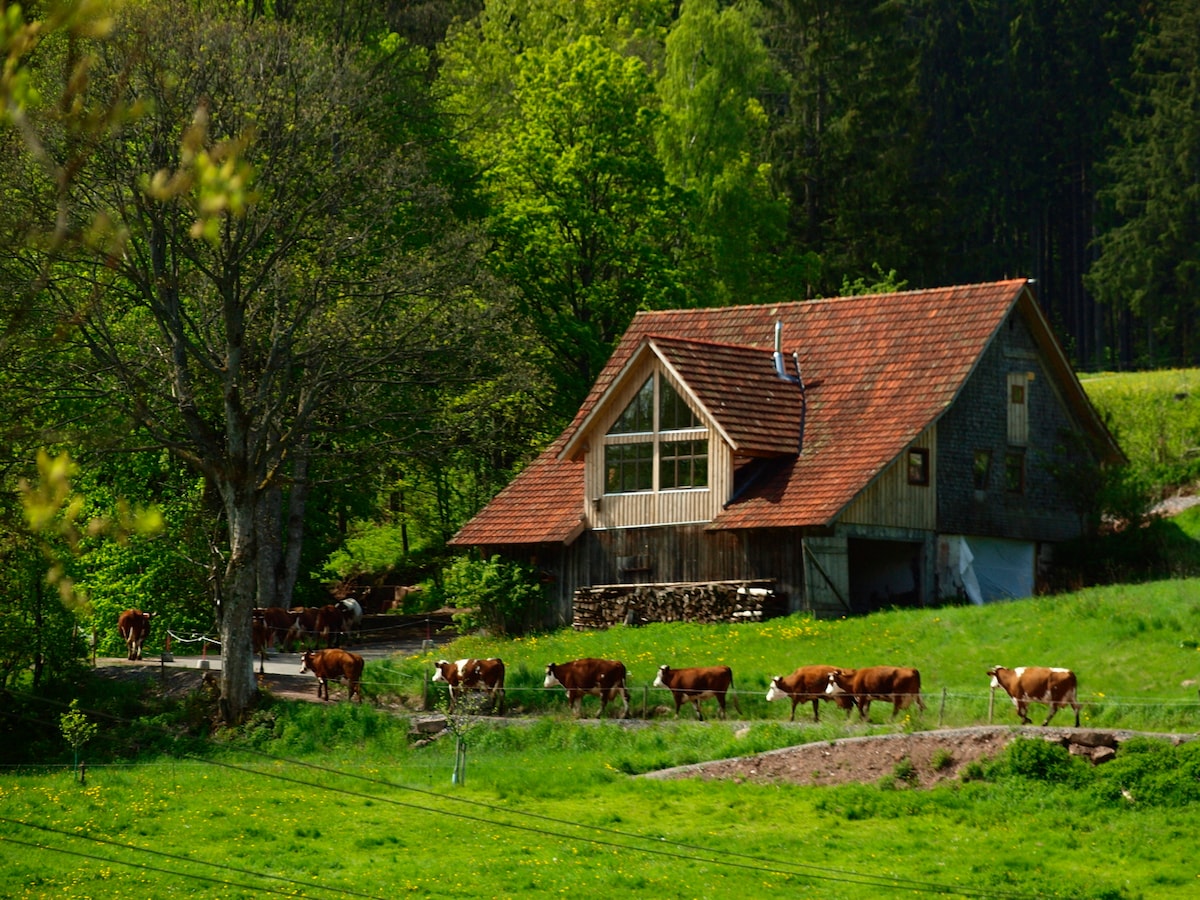 Hüsli am Untermühlbachhachhof