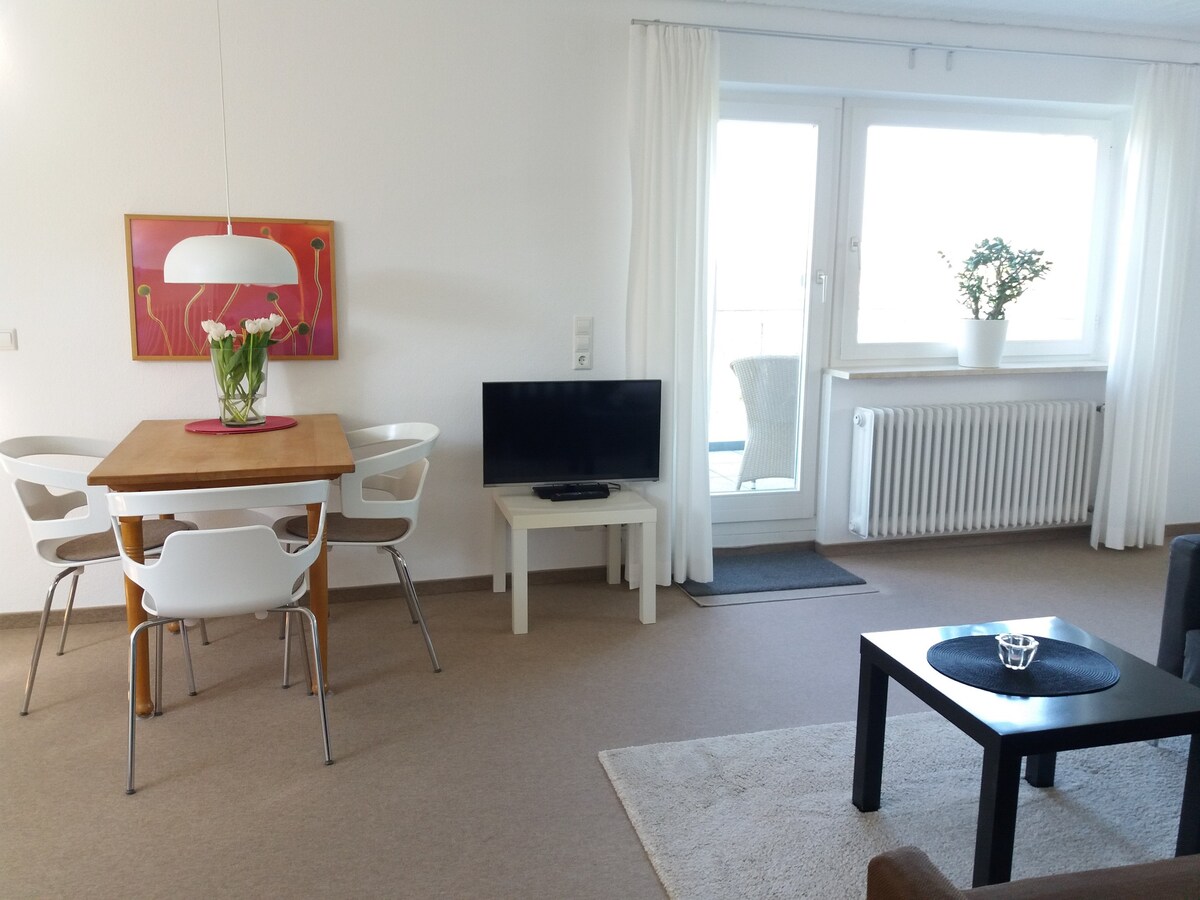 Riedel公寓， （ Immenstaad am Bodensee ） ，公寓， 1间客房度假公寓， 45平方米，最多2人