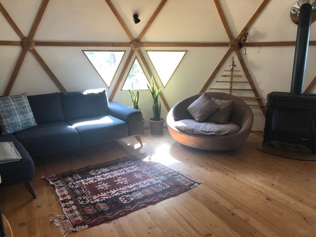 Geodesic Dome House in the Forest