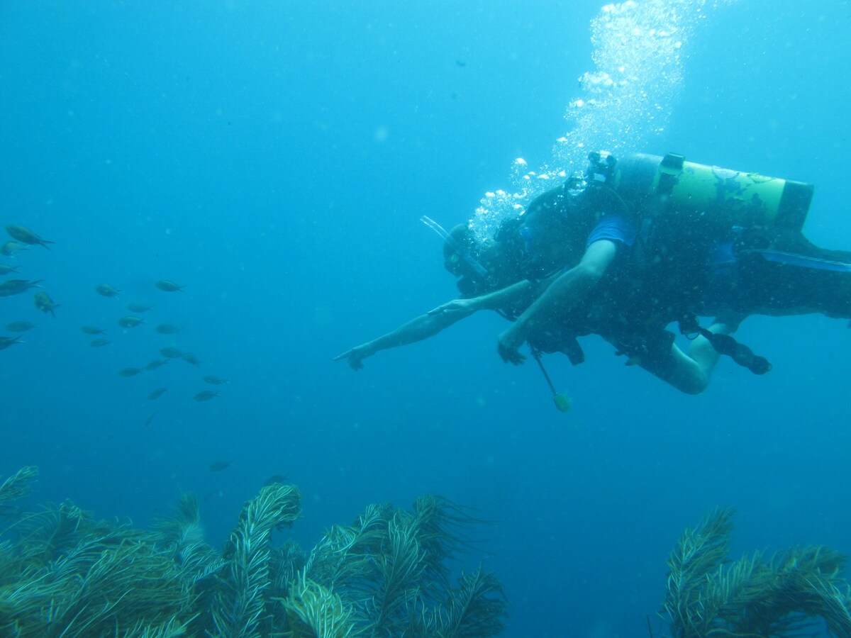 Scuba Diving with Accommodation