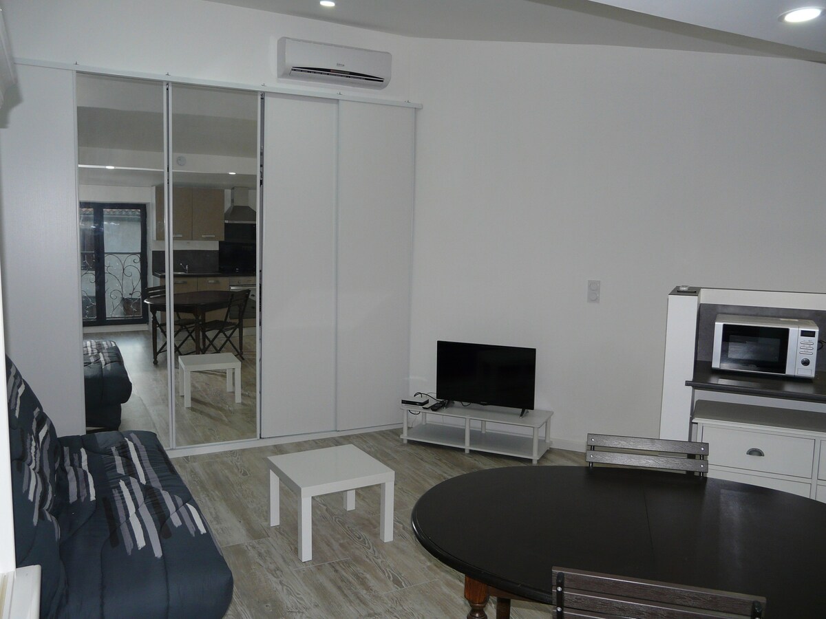 舒适的单间公寓，面积为30平方米，经过全面翻新