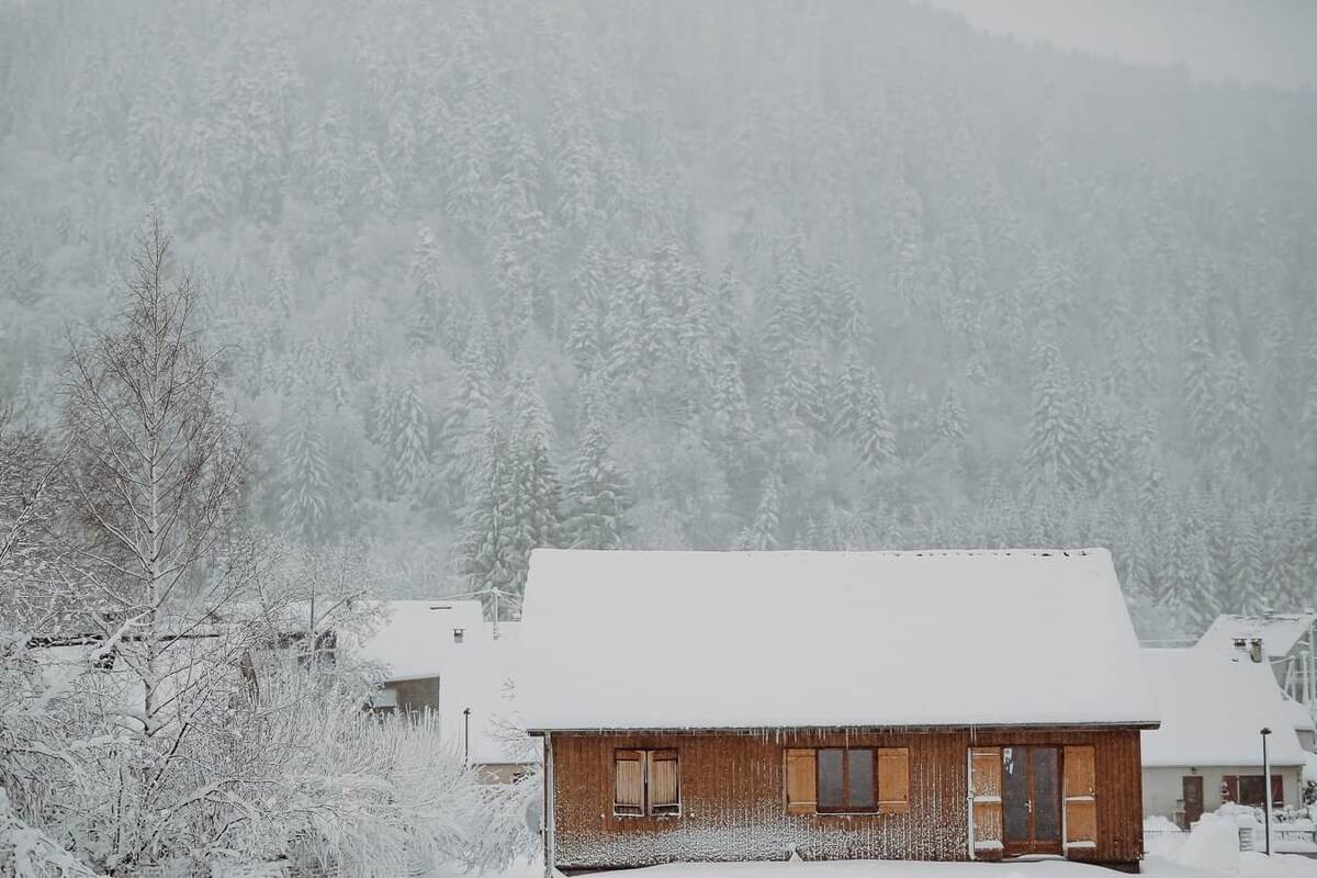 Chalet Loulou, Central Massif, Le Mont-Dore山脉