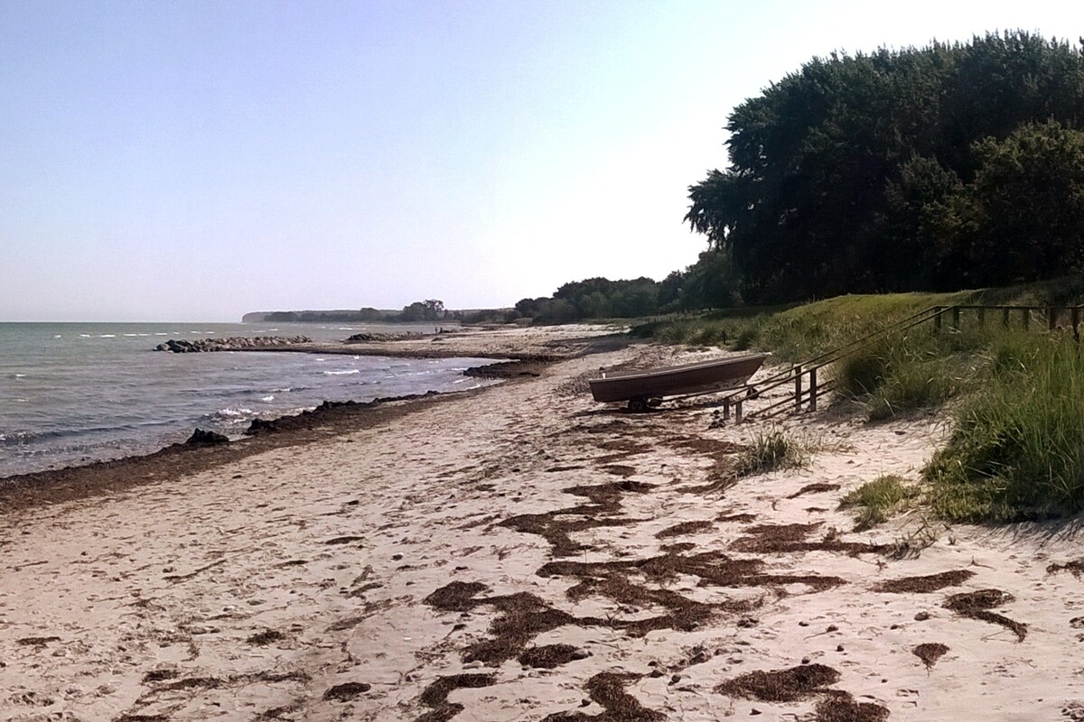 Ulvshale Møn, 50 m from the beach