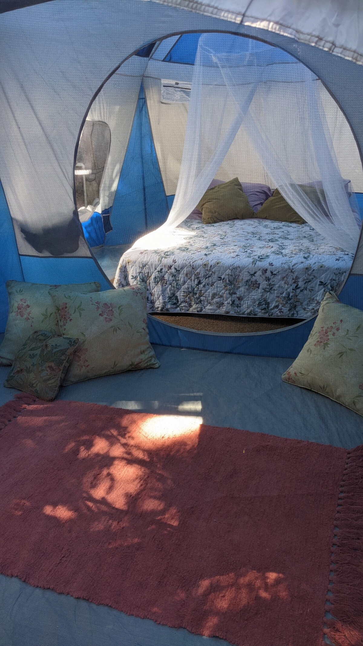 Rincón Glamping Hideaway and Cat Sanctuary