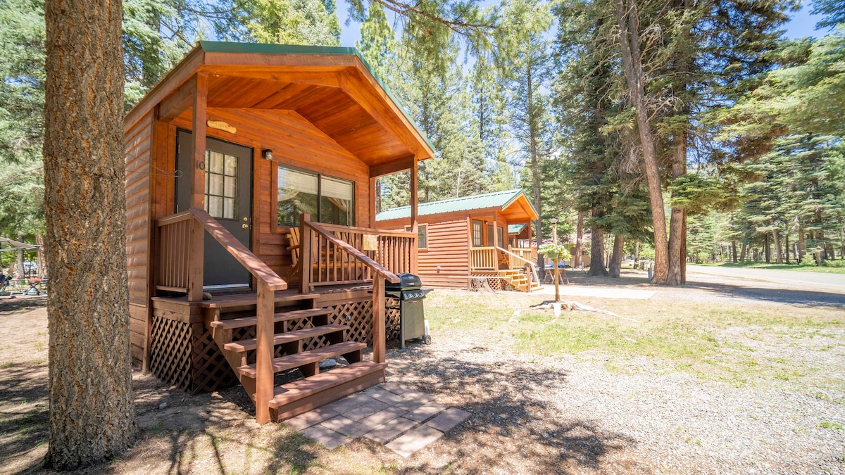 The Lupine Cabin # 10