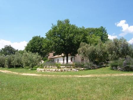 Relax e passeggiate tra gli olivi!!