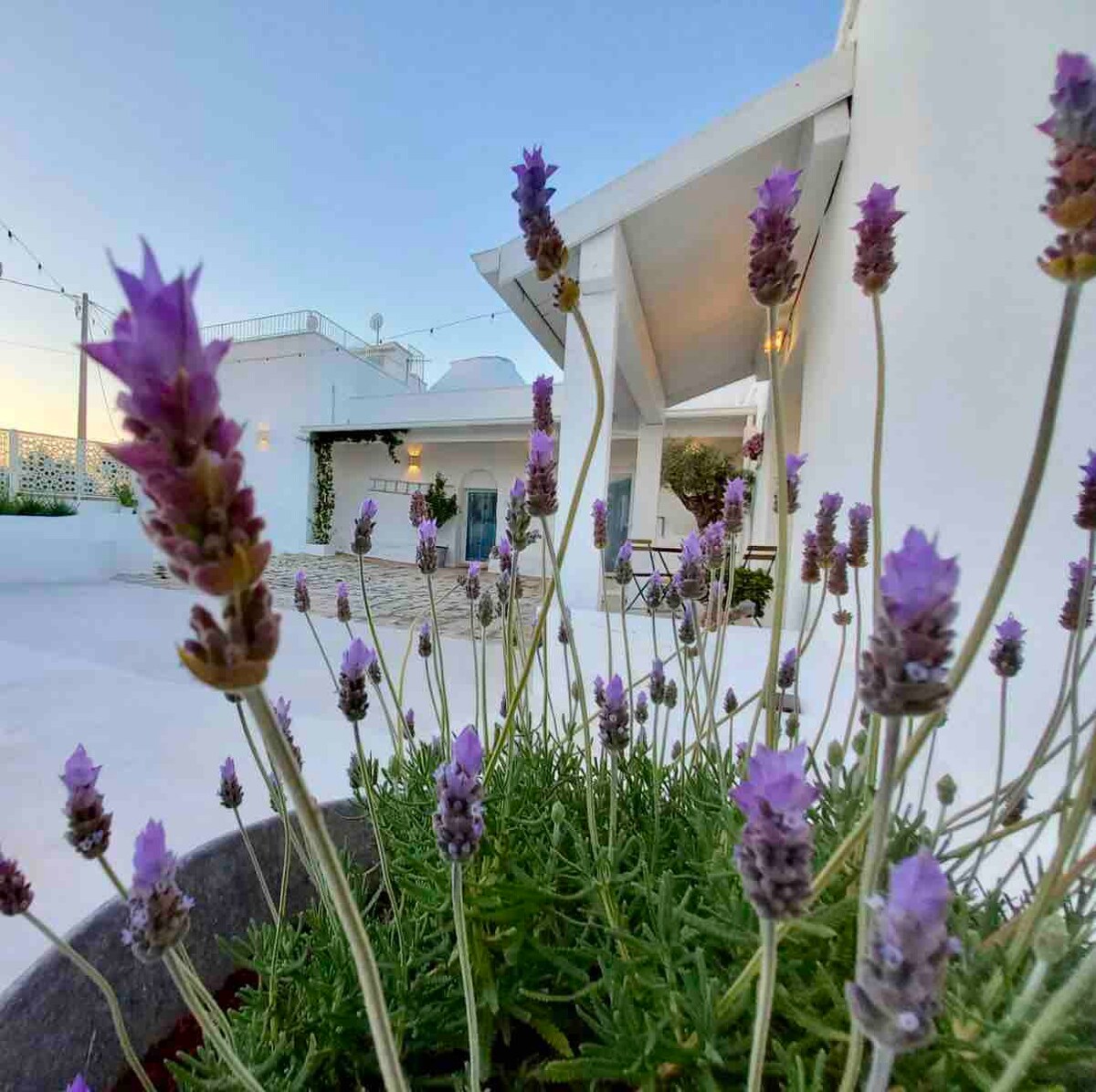 Trullo San Vincenzo Casa Vacanze “Casa Lamia”