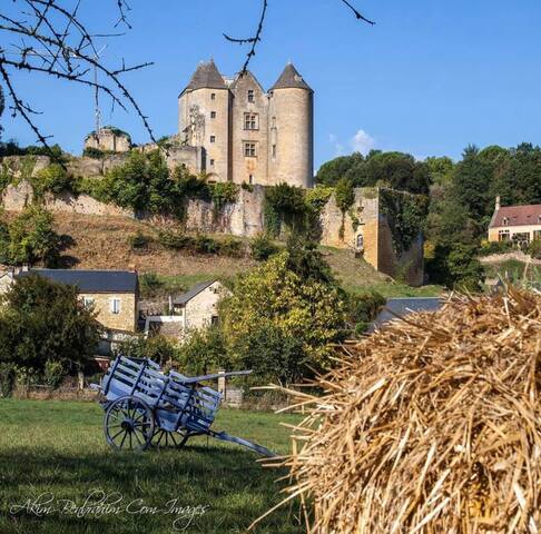 Salignac-Eyvigues的民宿