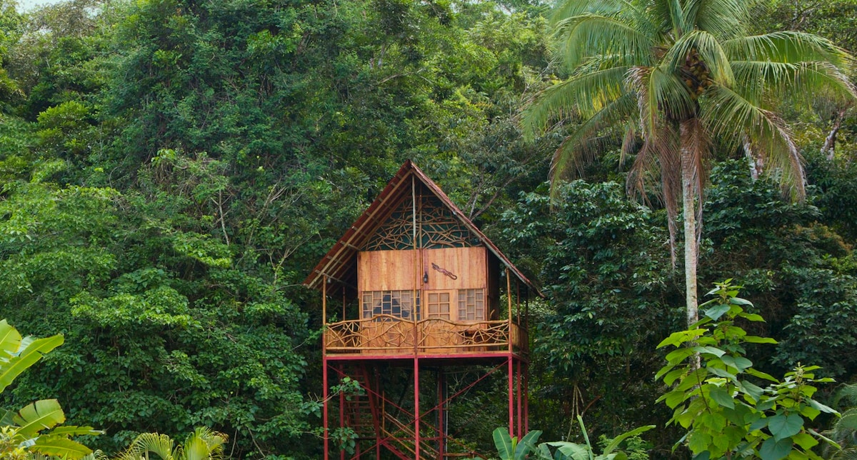 带温泉的雨林树屋