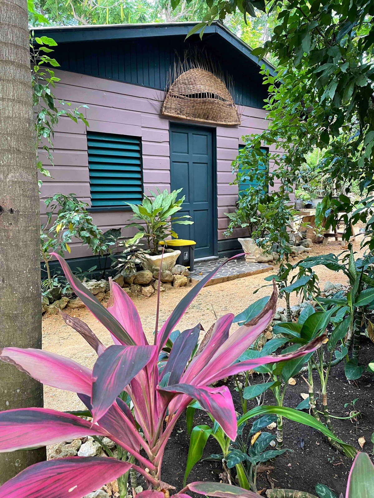 牙买加内格里尔的Coco Africa Cabin, West End