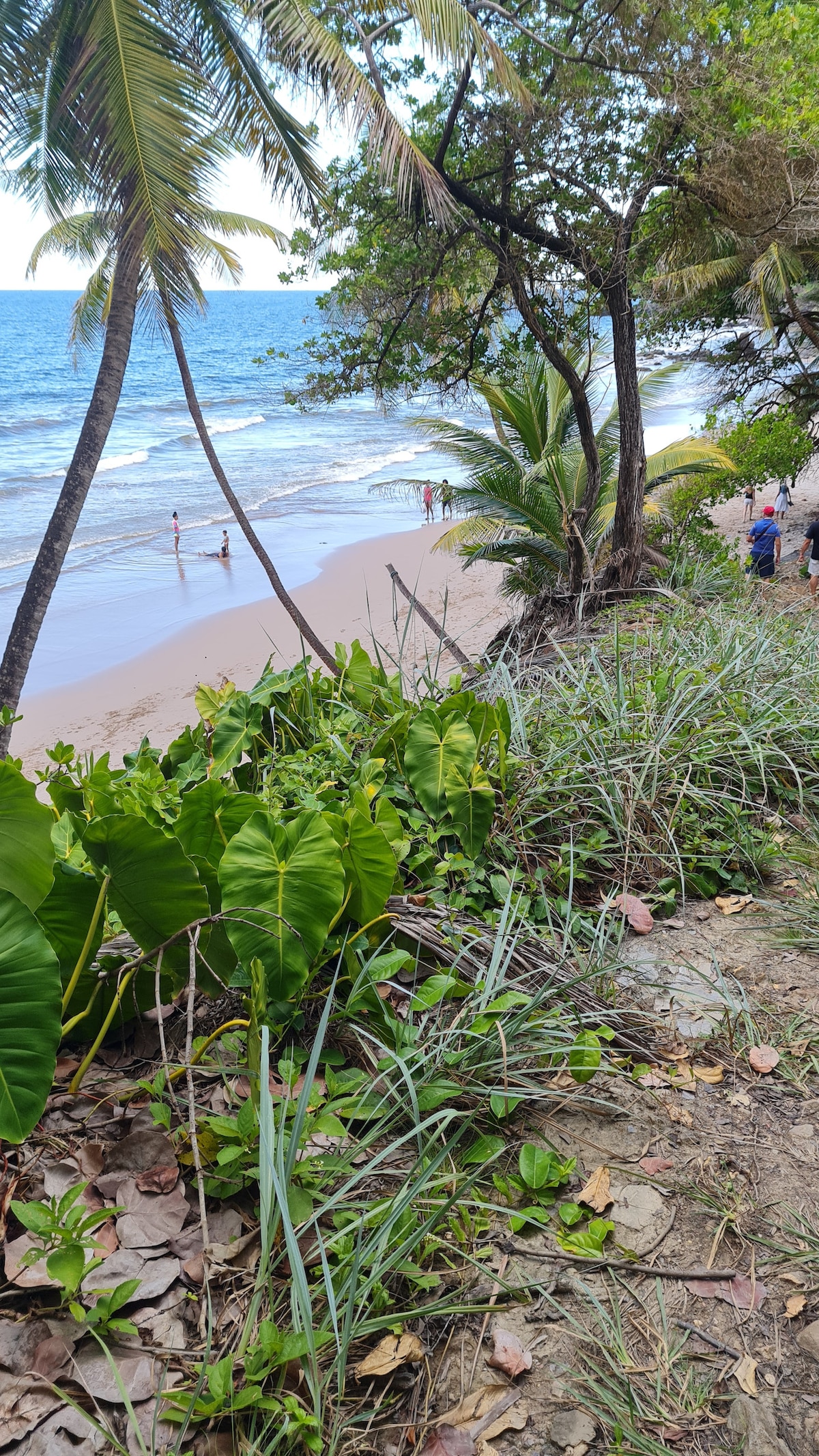 ⛱ 阳光、大海和小径