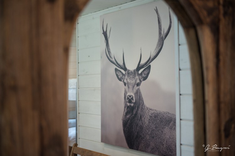 Chalet de Charme "Le Grand Cerf" - Eifel belge