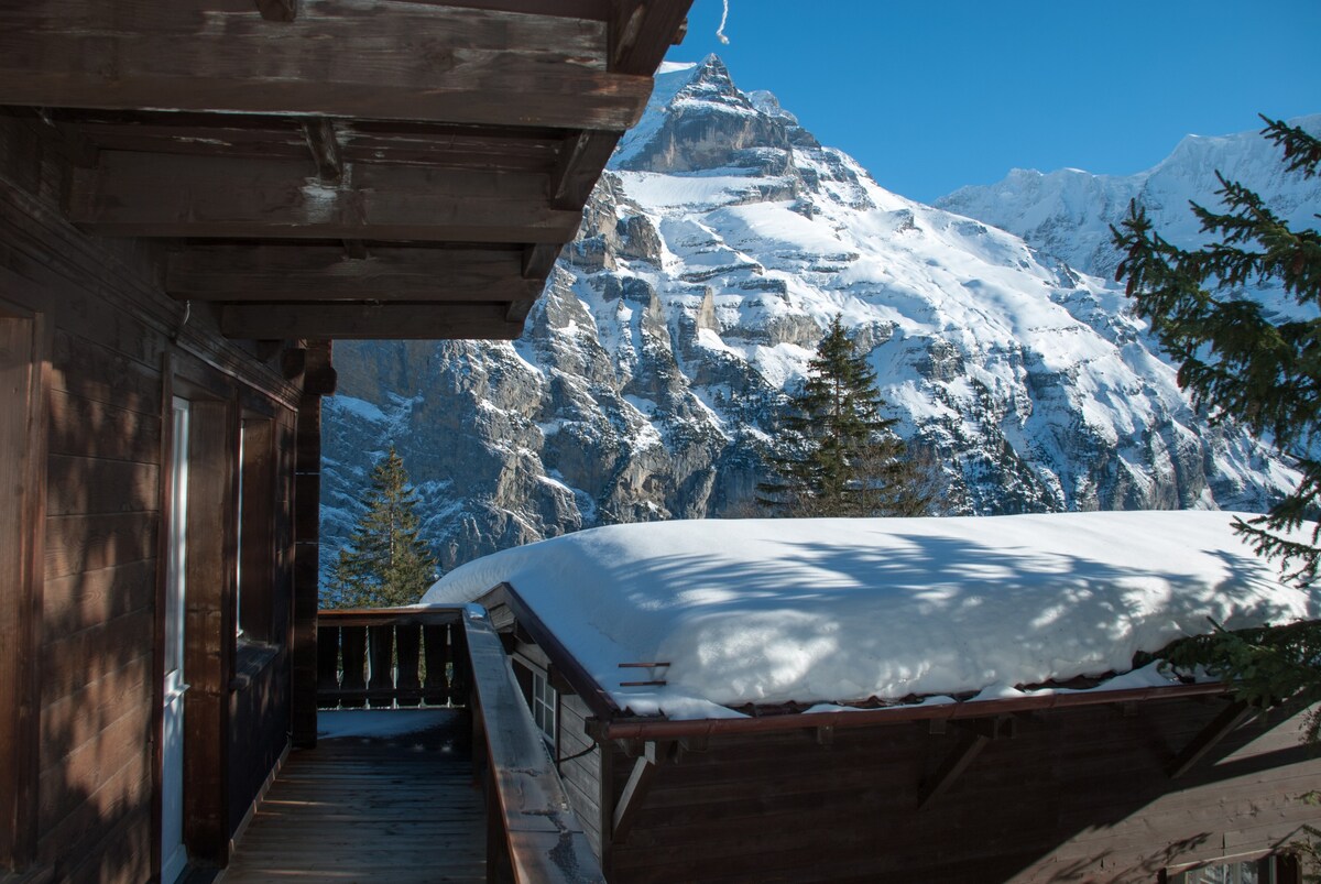 Mürren -就在滑雪坡/徒步小径上-提供无线网络