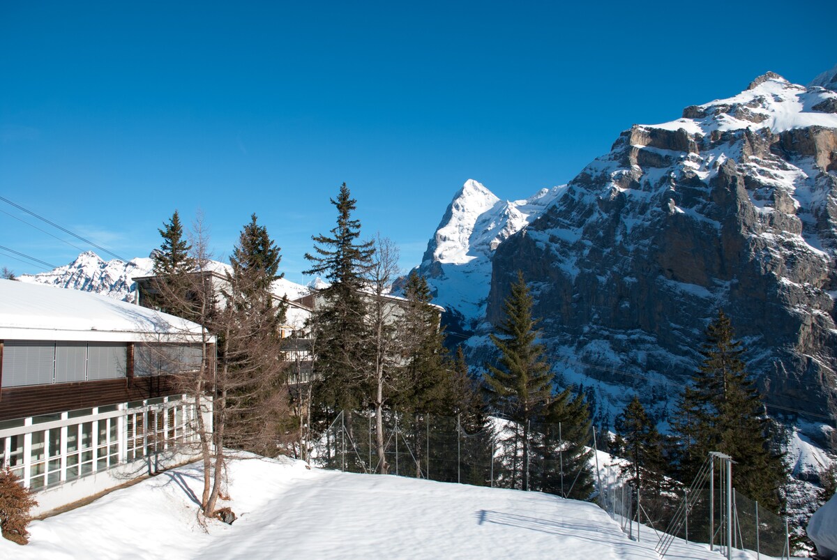 Mürren -就在滑雪坡/徒步小径上-提供无线网络