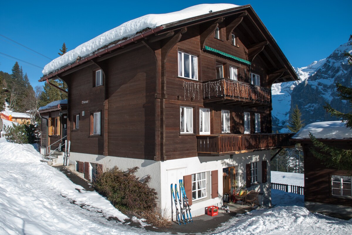 Mürren -就在滑雪坡/徒步小径上-提供无线网络