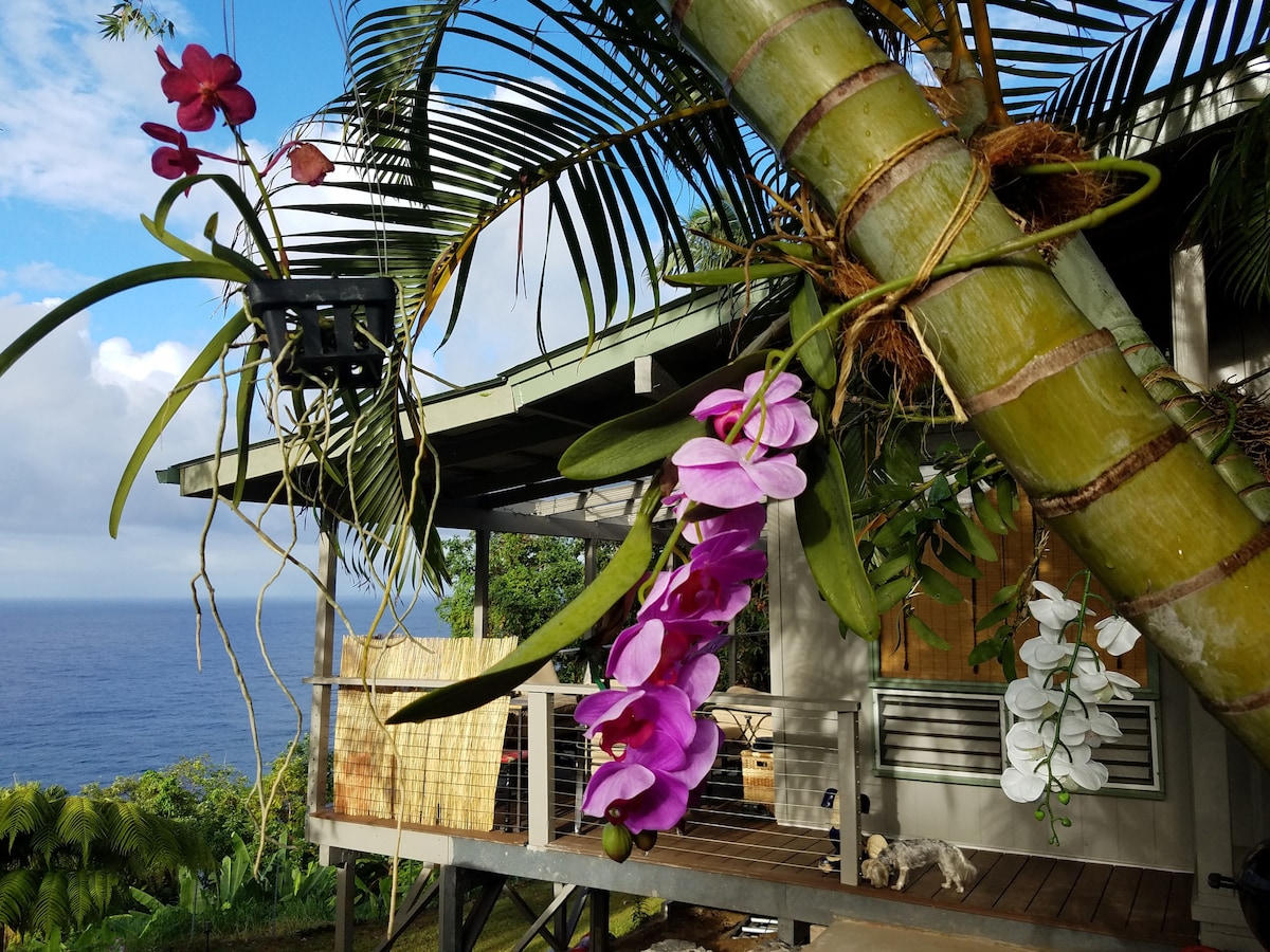 Hamakua Sea Cliff住宿加早餐旅馆，海滨悬崖住宅