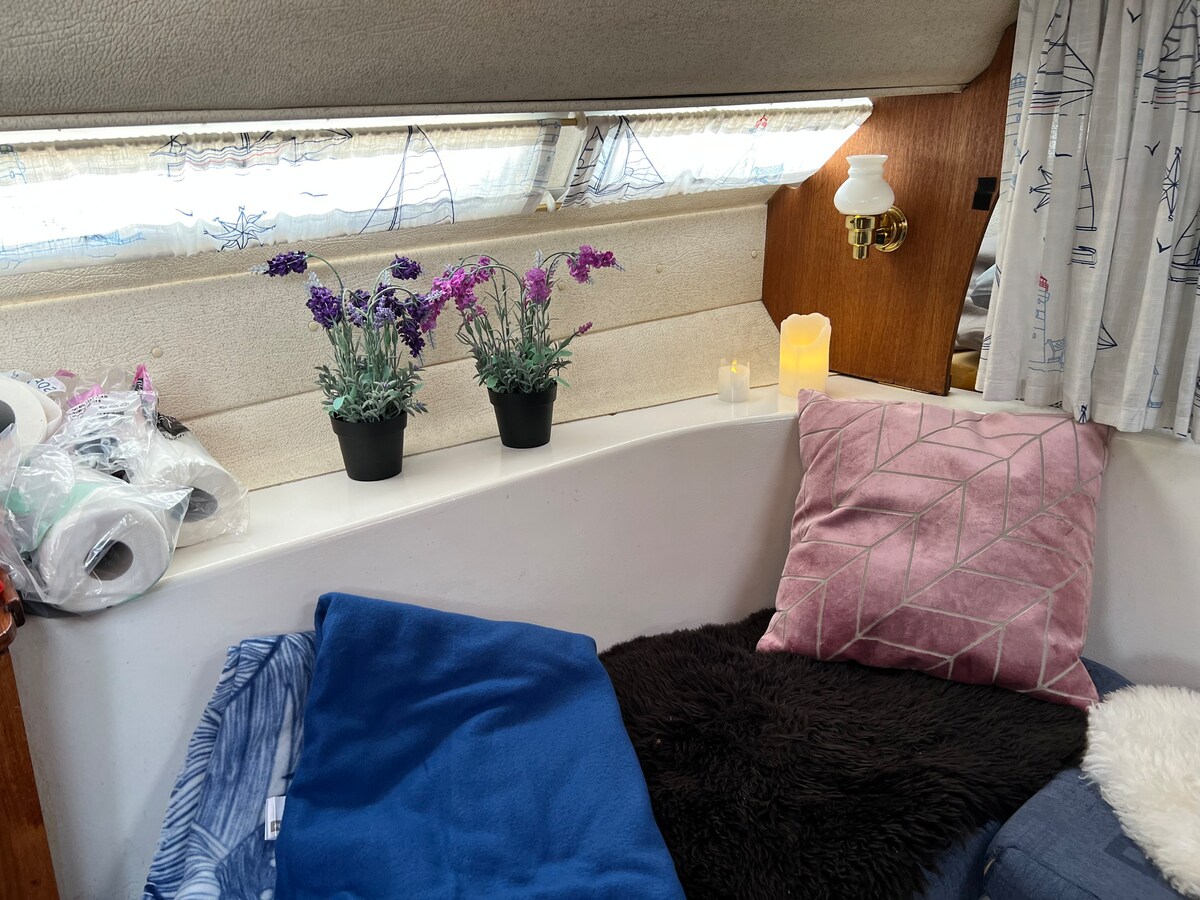 Aurora cormorant cabin cruicer