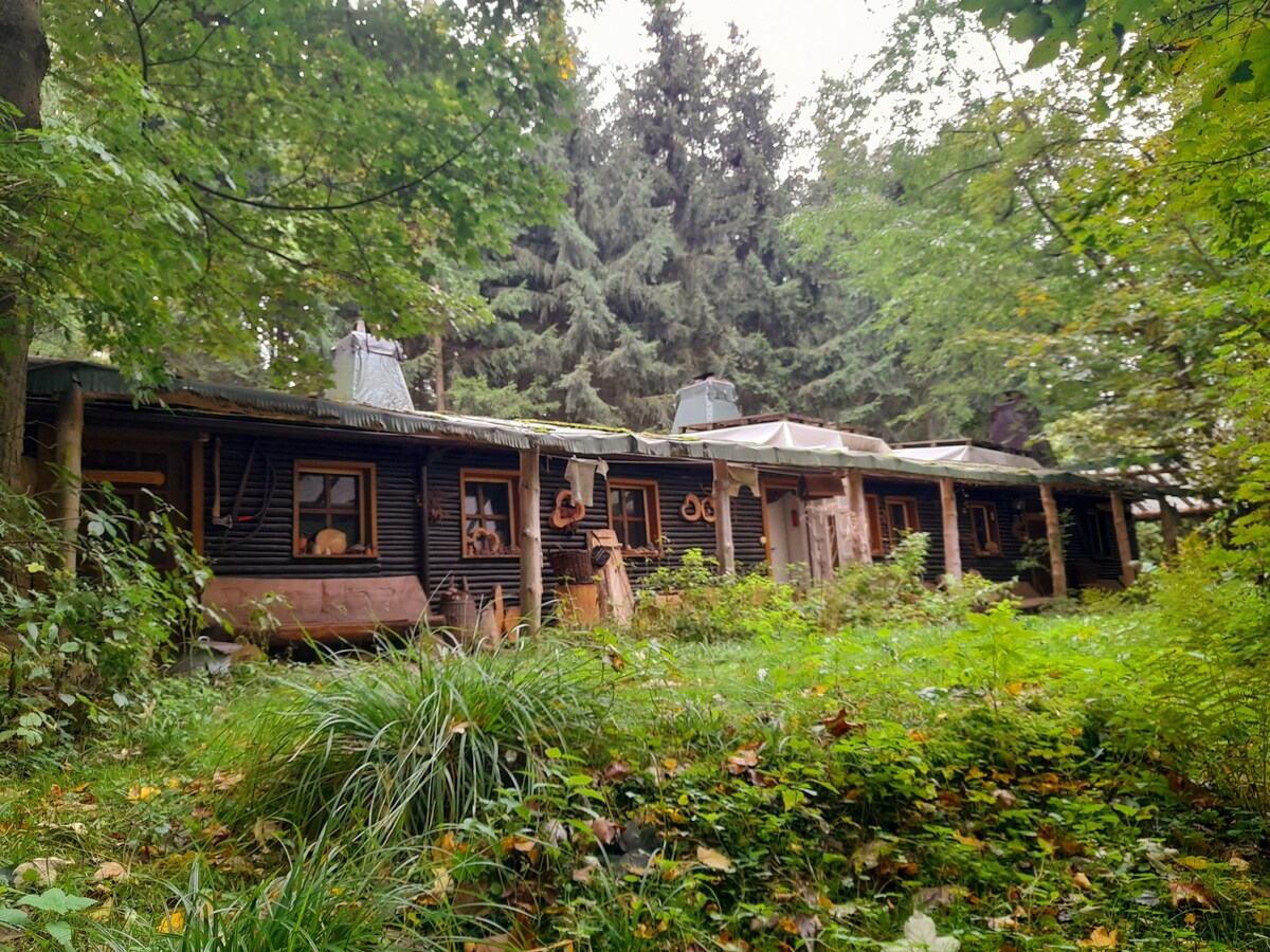 Das wilde Auwaldhaus - Ferienwohnung Eulentreff