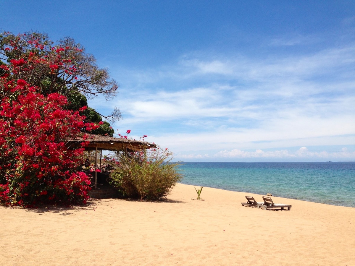 Cool atmosphere, cold drinks right on the beach.