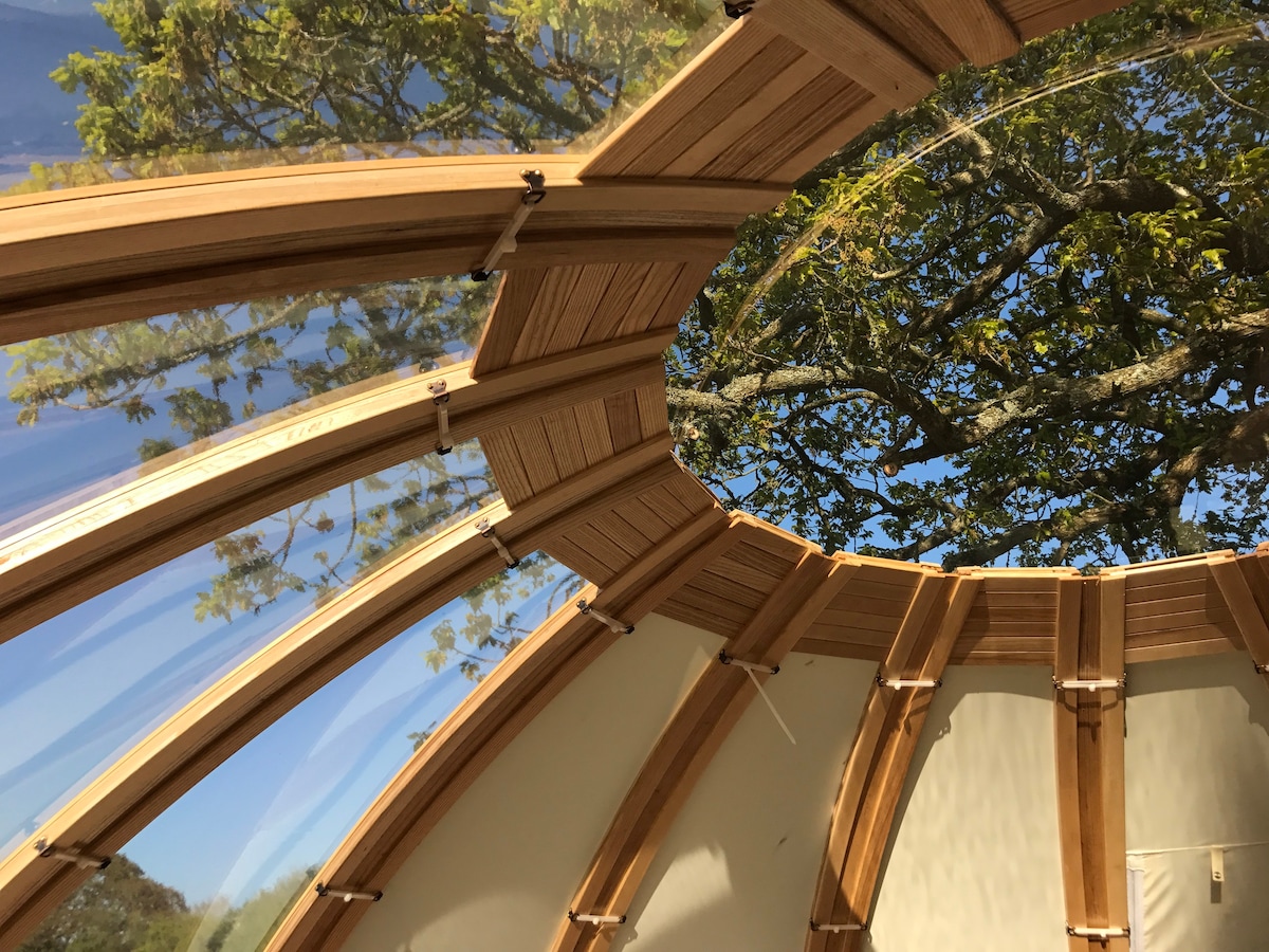 在橡树巨蛋（ Oak Tree Dome ）体验大自然（ Tri ）