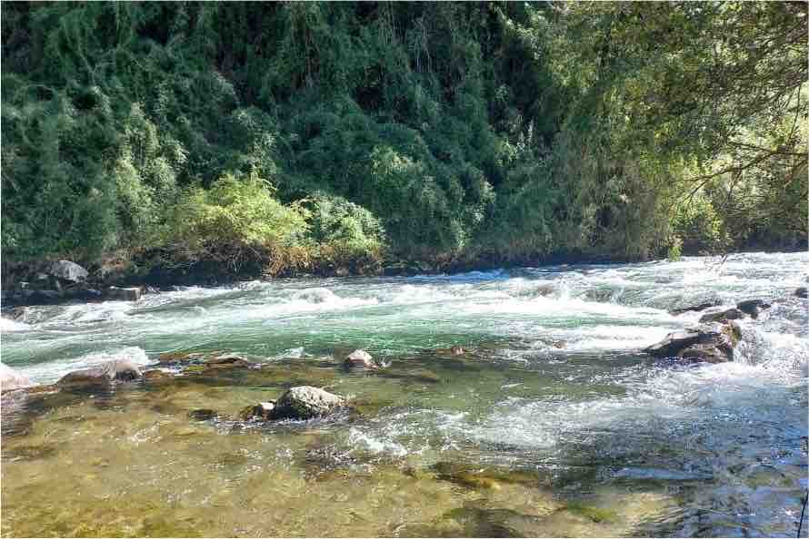 Casa espectacular a orillas del Rio Pucon