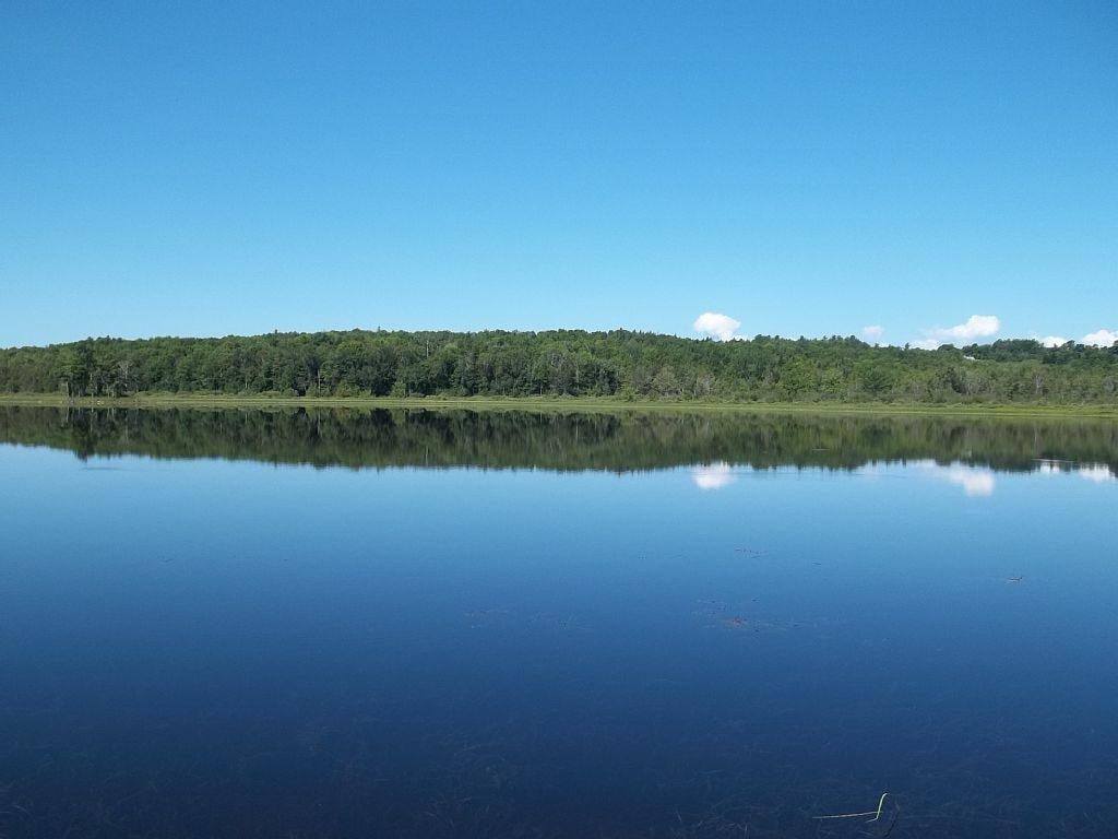 Mainstream Pond Getaway