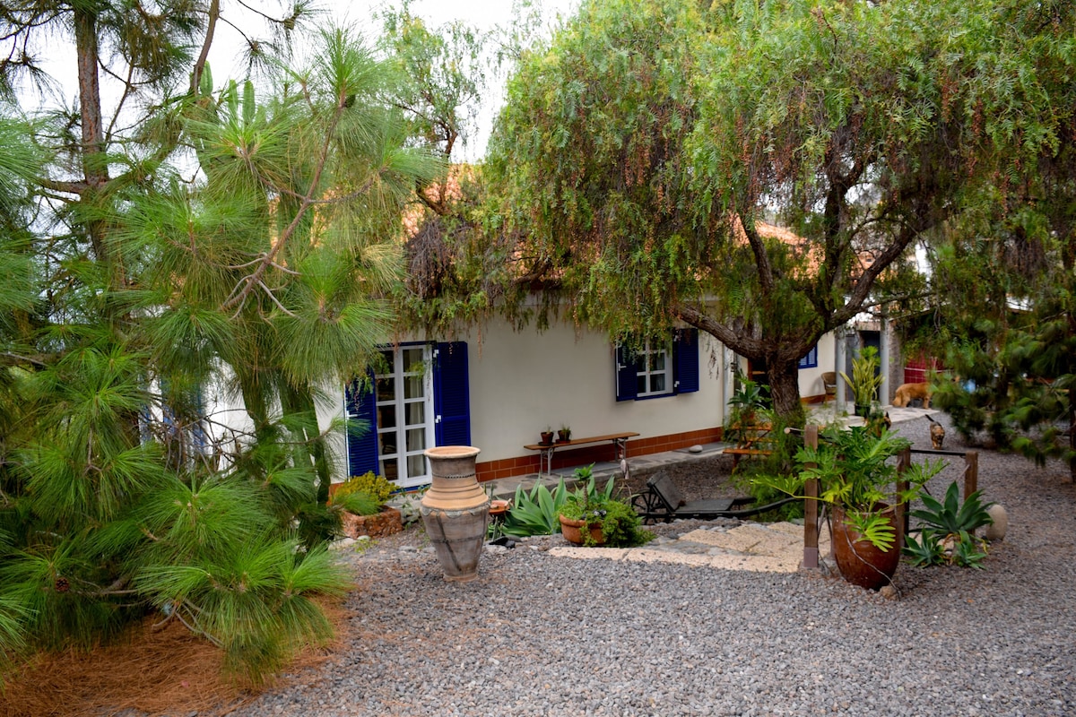 Villa in Teneriffa Süd Meerblick