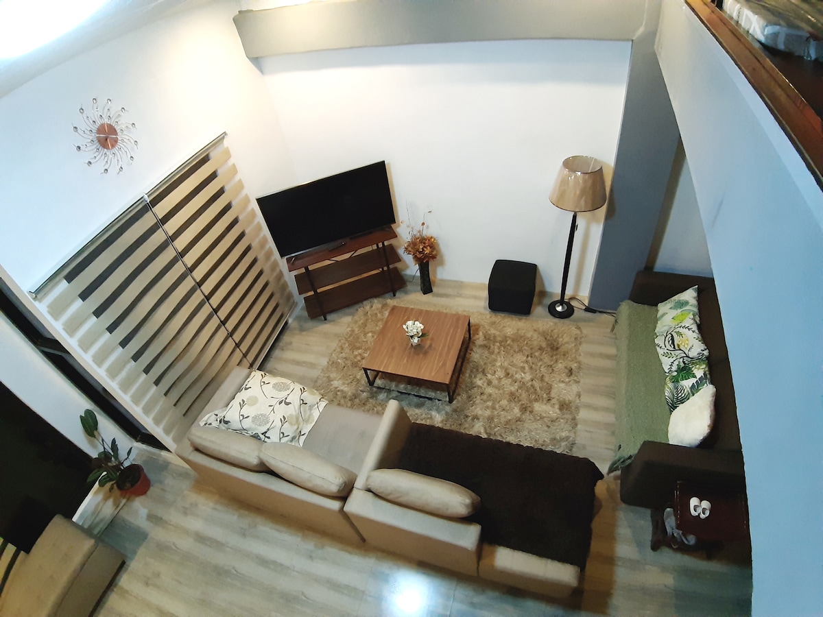 Homewood Penthouse Loft （山景）