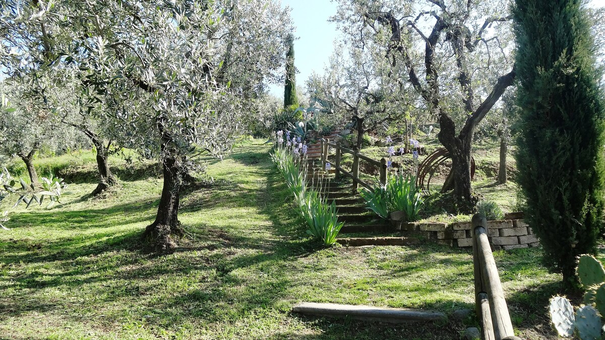 Larciano,Podere la Canessina, App2