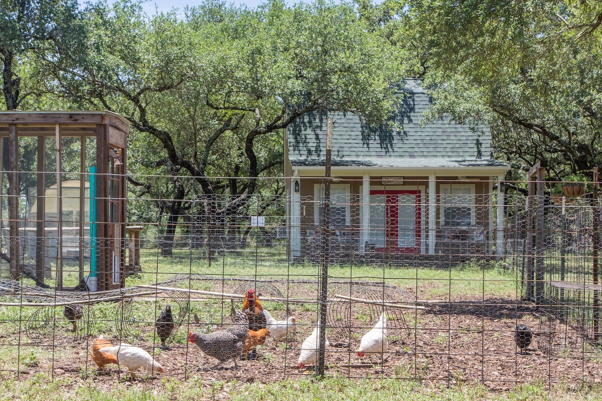 15 Acre Tiny Farmhouse: Chicken Style