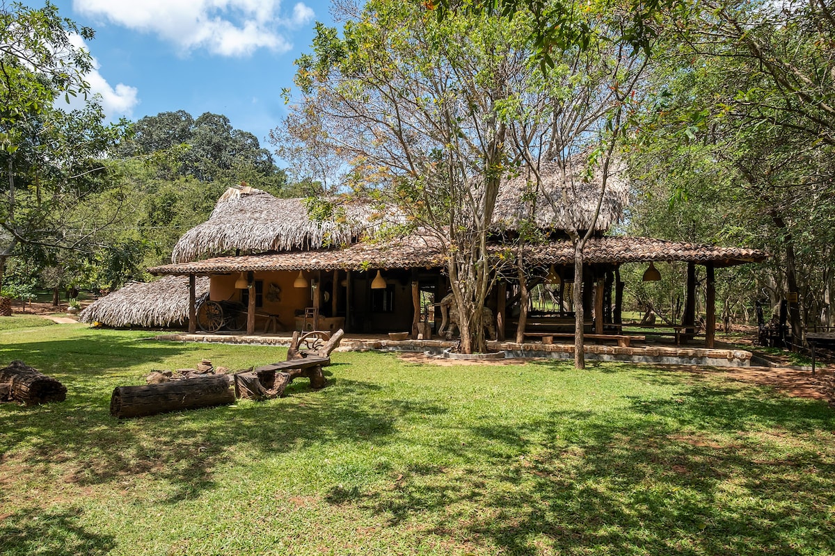 Udawalawe Banyan Lodge