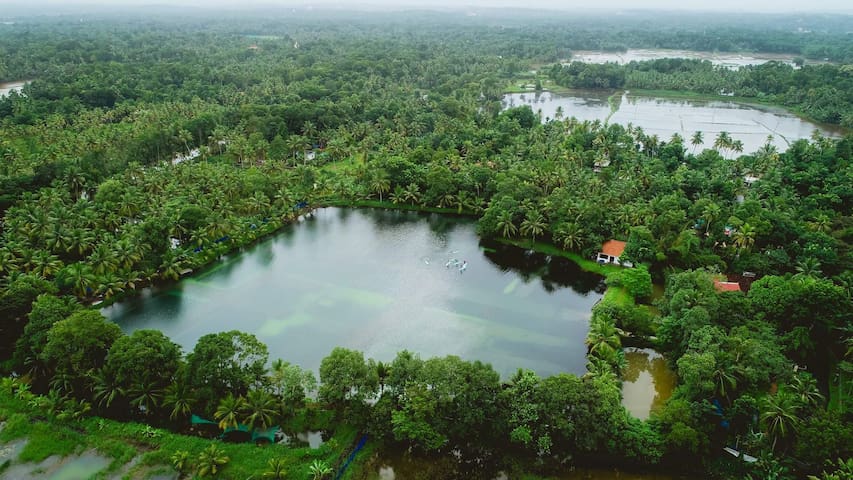 科特塔耶姆(Kottayam)的民宿