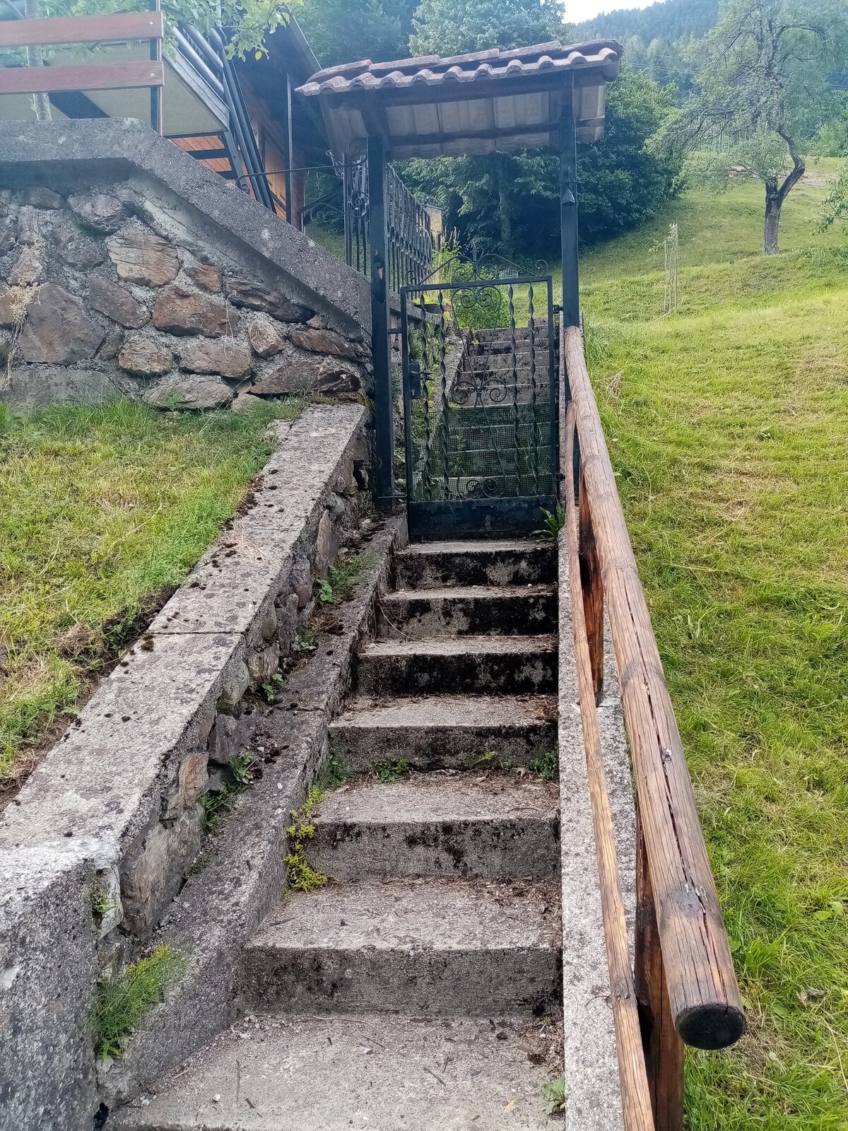 Ravascletto Terrazza vista bosco