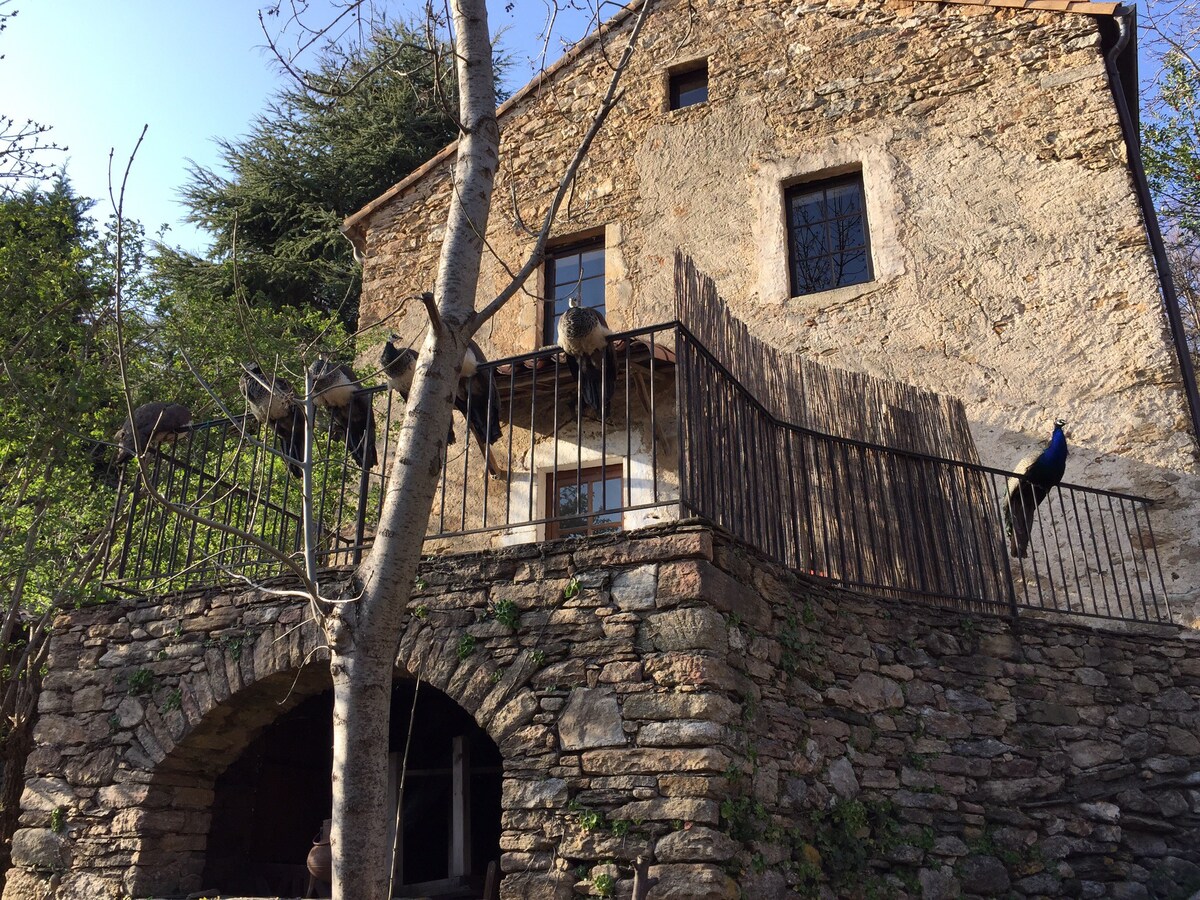 Gîte Daïsse dans un hameau,  parc Haut Languedoc