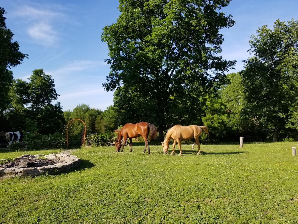 Kamp Kessa at Cedar Fire Farm: A Nature Retreat