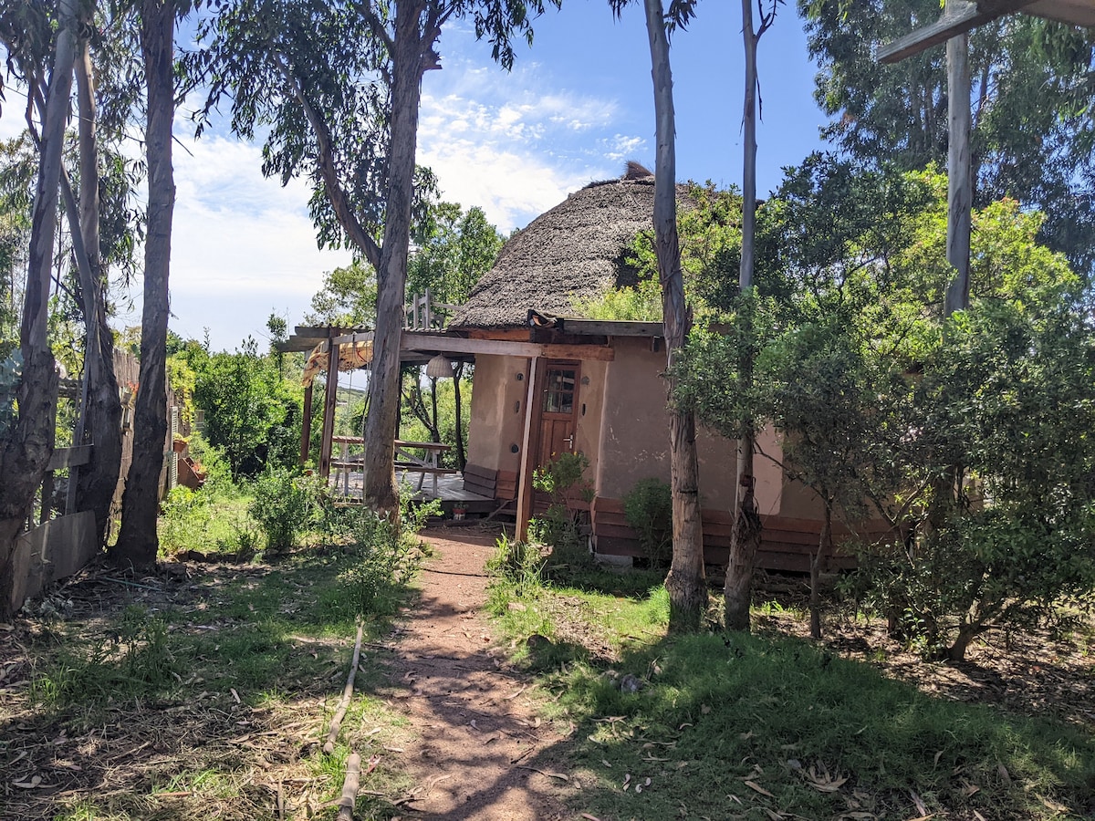 Casa Domo de barro en Punta Negra, Uruguay