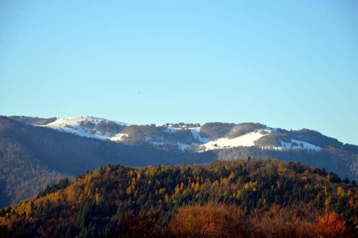 Gite de montagne La Canopée