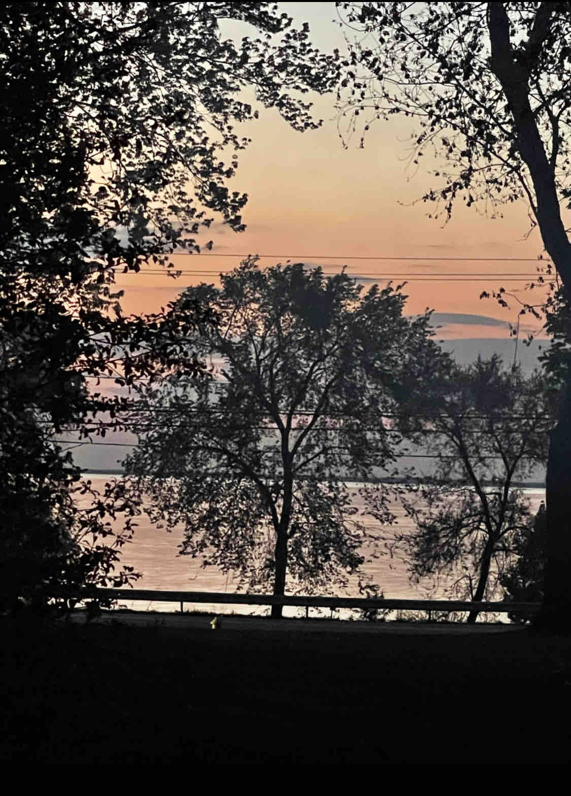 POLLYS ON THE LAKE美丽的出租伊利湖景观