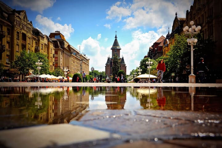 蒂米什瓦拉(Timișoara)的民宿