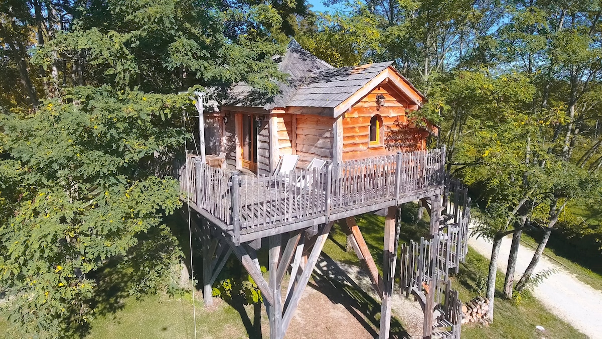 Château dans les arbres