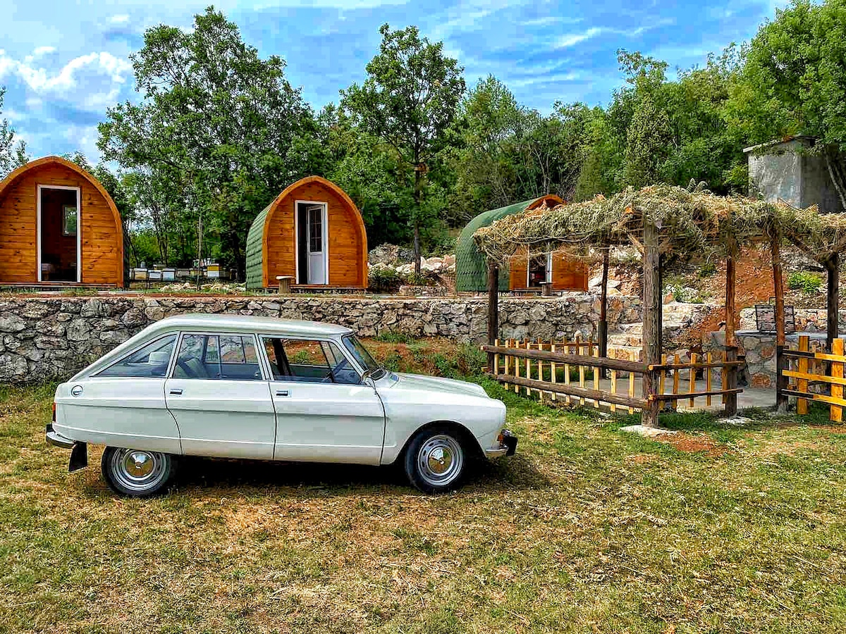 Cozy cottages near Skadar Lake 3