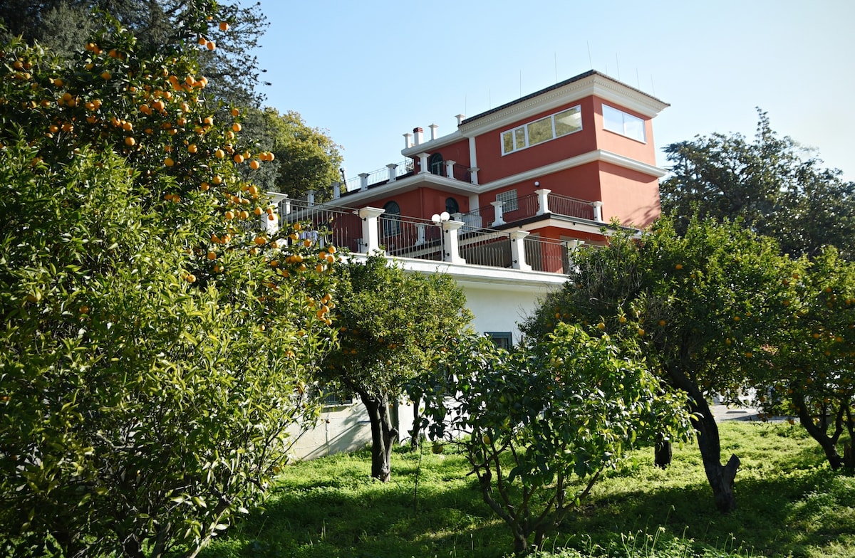 玛杰丽塔达罗西别墅（ Villa Margerita da Rosy