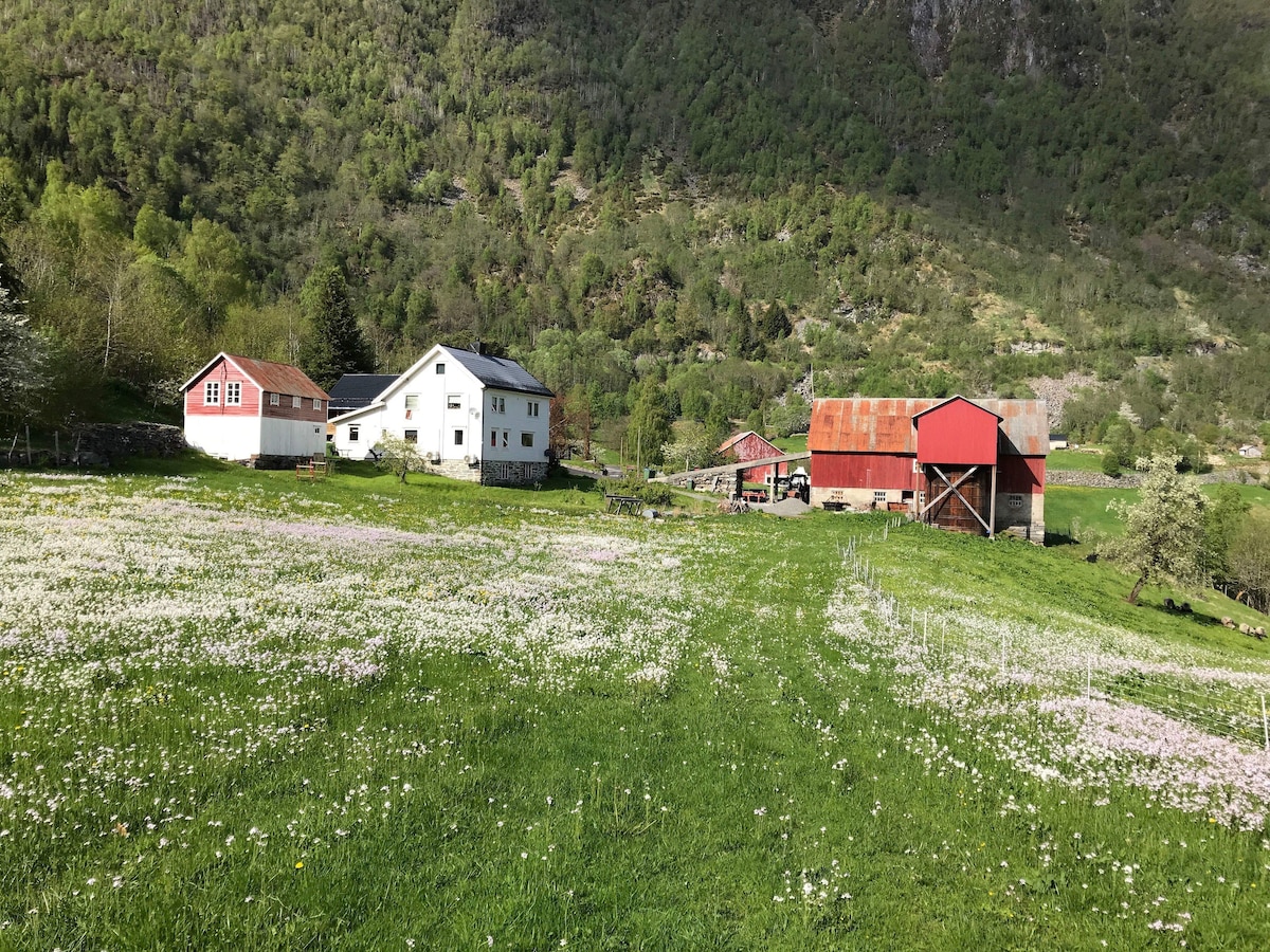 Volda ，乡村景观， 1层