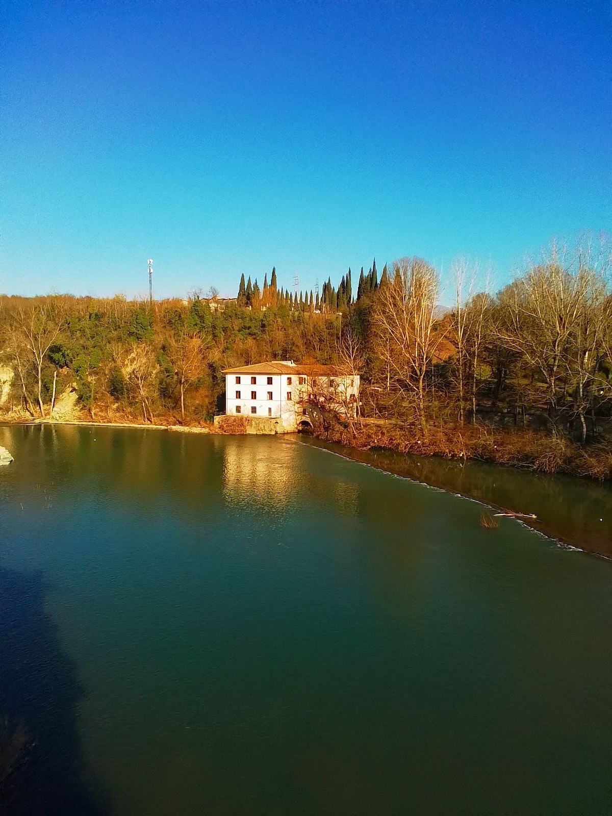 The Nest on the Arno