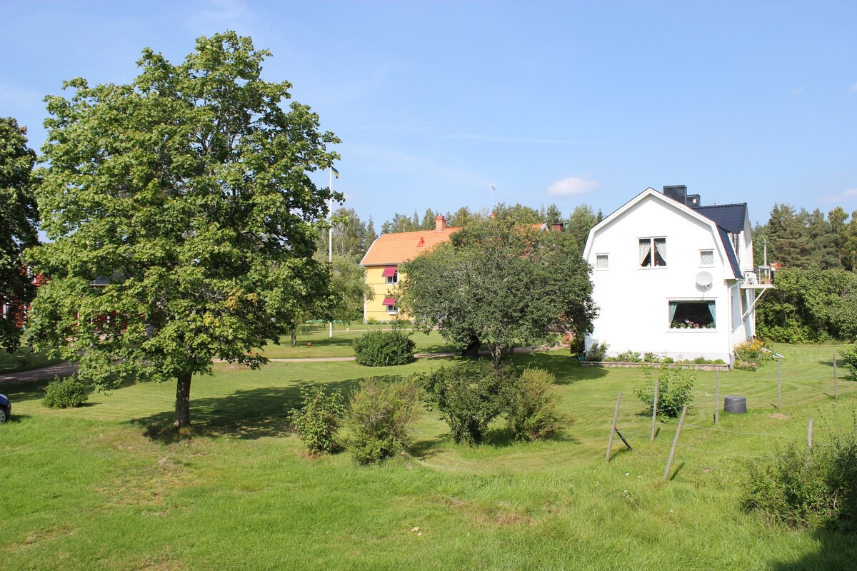 住在Astrid Lindgren的Vimmerby乡村