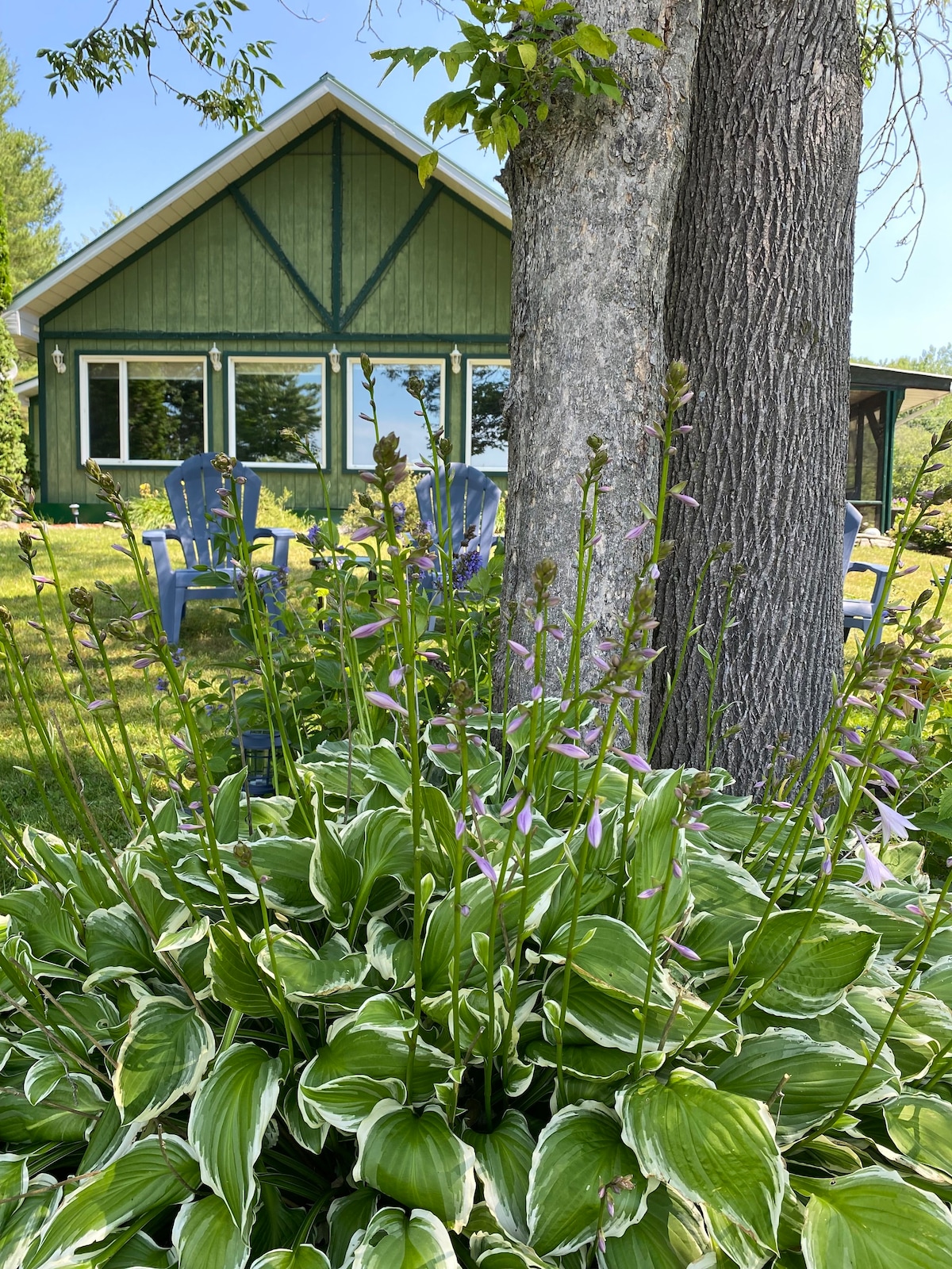 The Lakeshore Oasis - All Season Muskoka Cottage