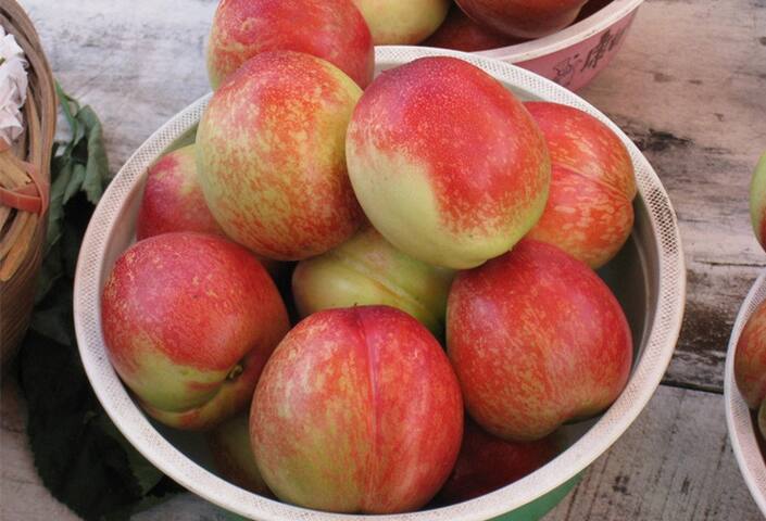 敦煌小娘子私房菜客栈 - pousadas para alugar em jiuquan, gansu, c