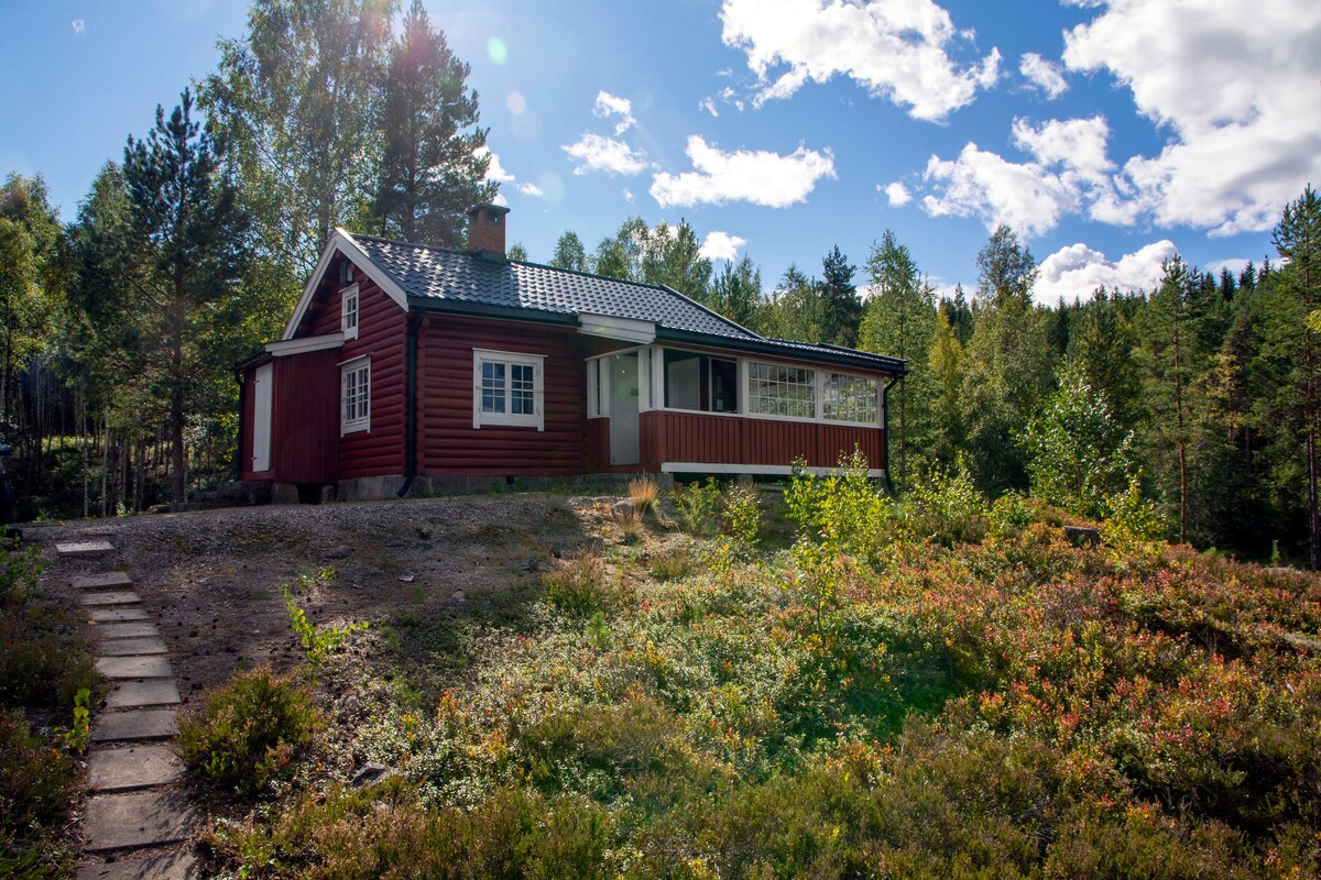 Rustic cabin at south end of Finnskogen