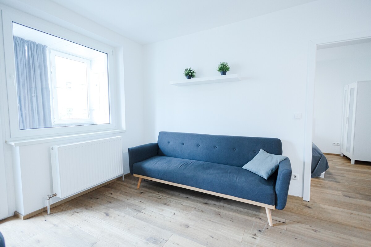 Charming 2 bedrooms apt 10 minutes from Prater